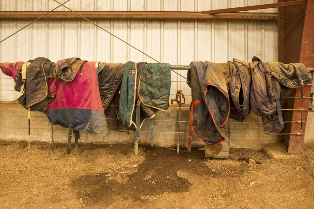 Equine Blanket Wash & Repair Texas