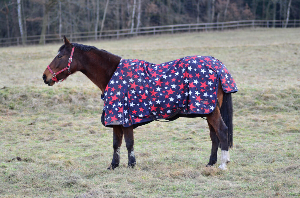 Equine Blanket